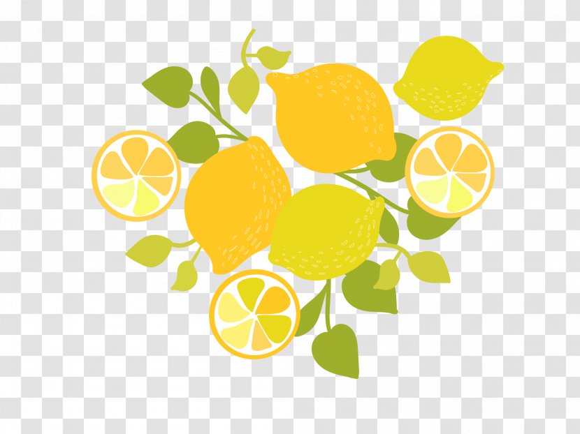 Lemon Clip Art - Yellow - Sliced Transparent PNG