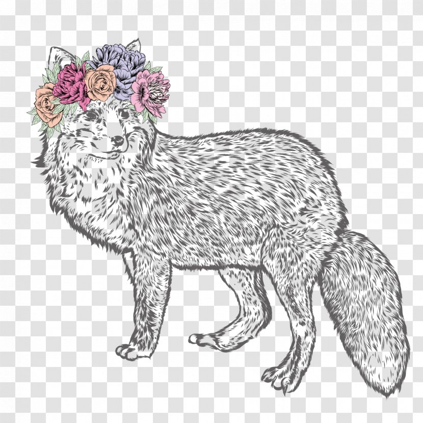 Whiskers Drawing Fox Illustration - Hand-painted Transparent PNG