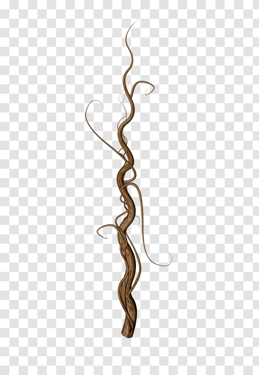 Hand Painted Tree Roots - Root - Leaf Transparent PNG