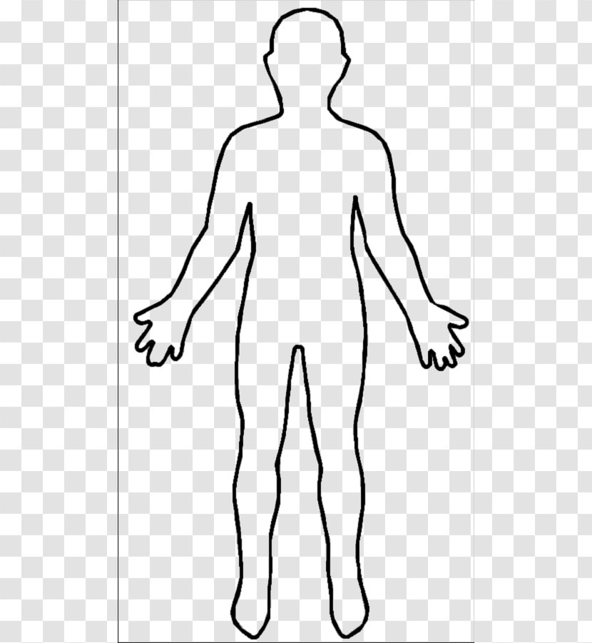 Human Body Female Shape Homo Sapiens Woman Clip Art - Tree - Token Cliparts Transparent PNG