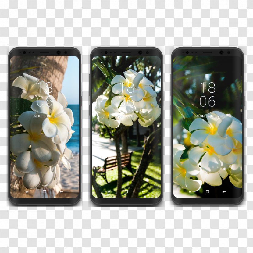 Samsung Galaxy S8+ Desktop Wallpaper - Flora - S8 Transparent PNG