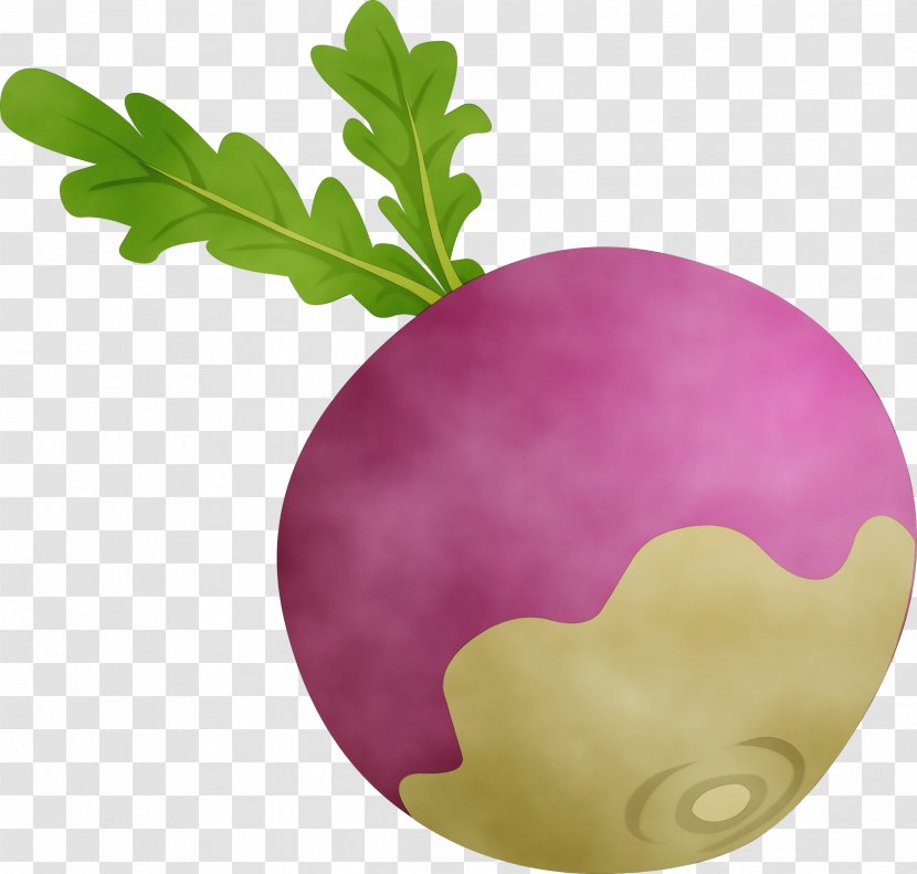 Watercolor Flower Background - Beet - Root Vegetable Heart Transparent PNG