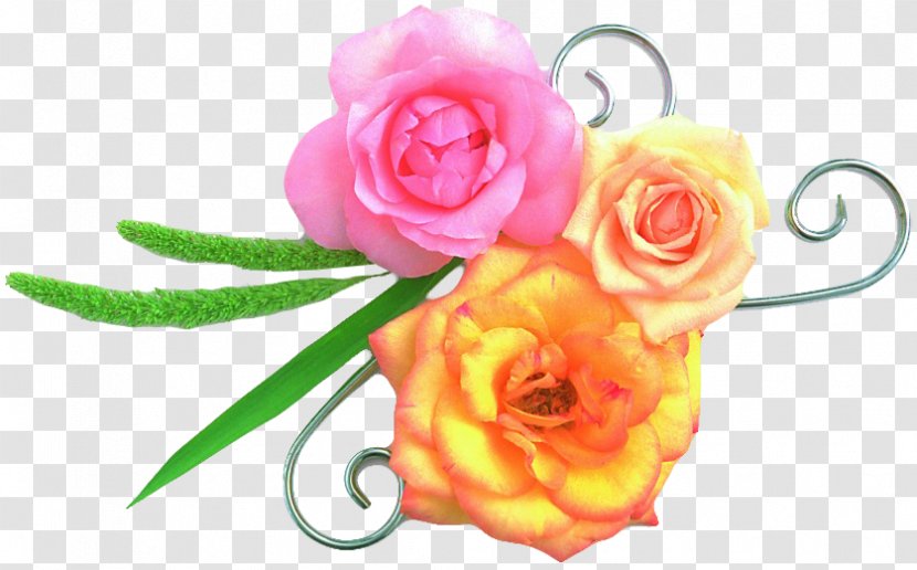 Flower Garden Roses News Child God Transparent PNG