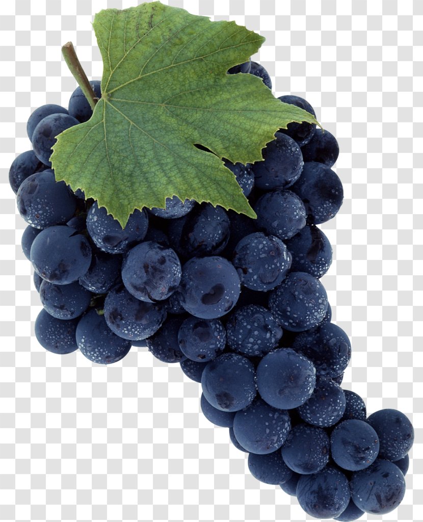 Common Grape Vine Sultana Seedless Fruit - Blueberry Transparent PNG