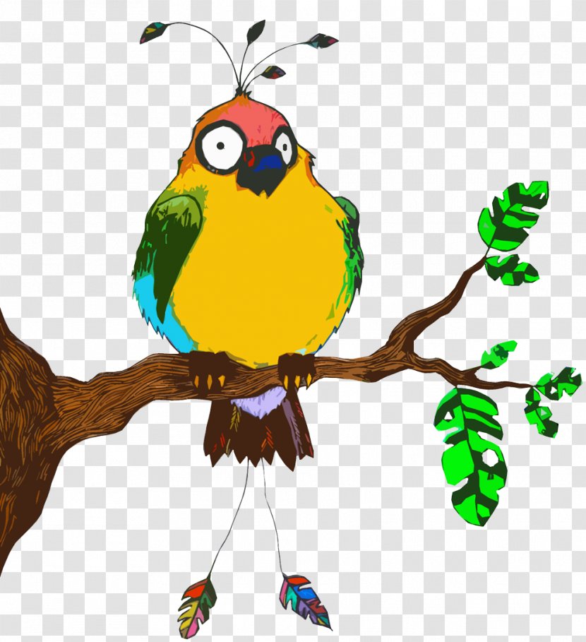 Macaw Parrot Beak Clip Art - Organism Transparent PNG