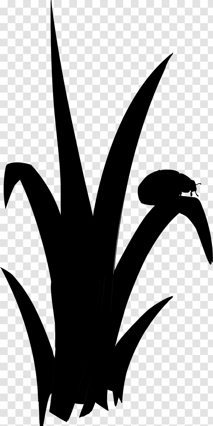 Clip Art Black & White - Flower - M Leaf Character Transparent PNG