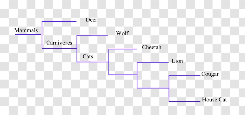 Document Line Design Angle Brand - Plot - Binary Tree Transparent PNG