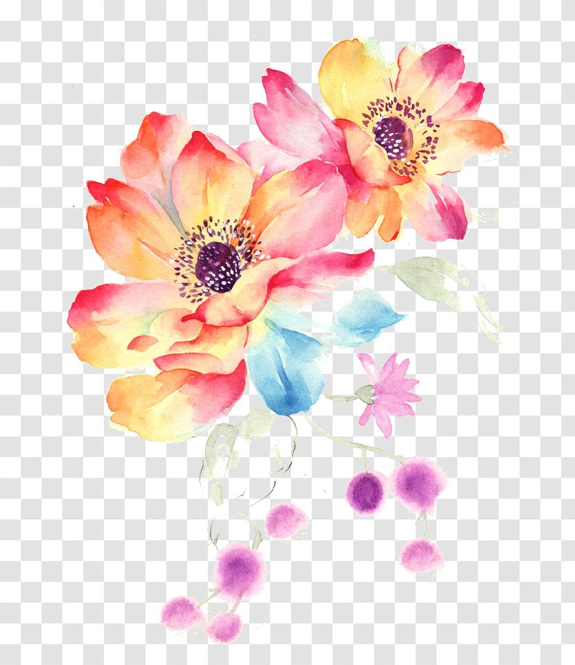 Floral Design - Plant - Wildflower Transparent PNG