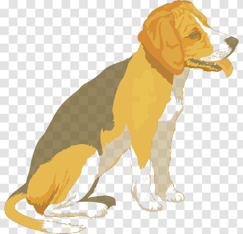 Clip Art Beagle Border Collie Puppy Vector Graphics - Dog - Fur Transparent PNG