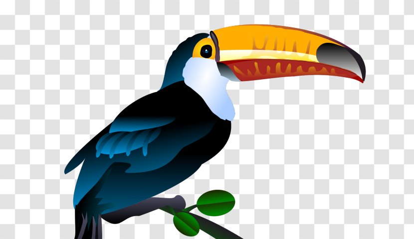 Clip Art Toucan Bird Openclipart Free Content - Piciformes - Clydesdale Transparent PNG