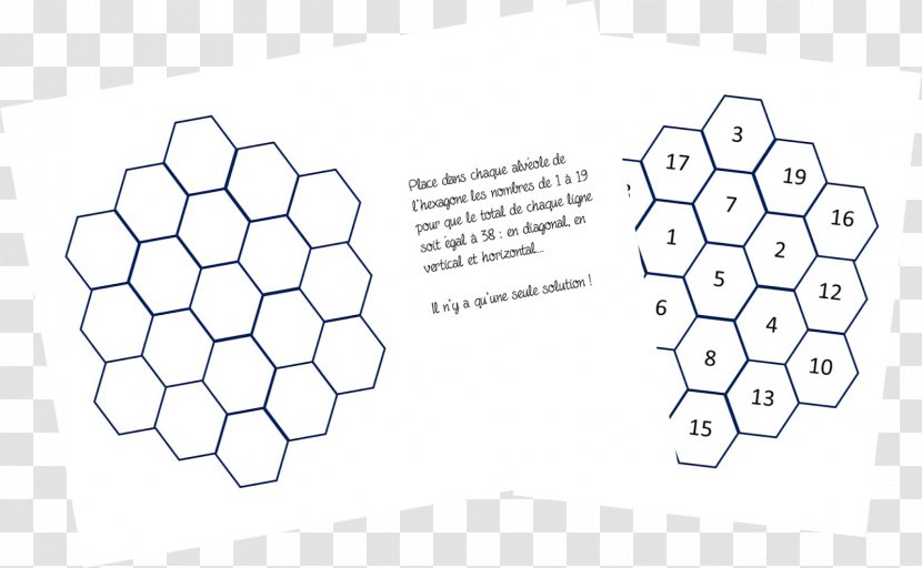 Convergent Extension Image File Formats Mathematics Hexagon - Model Organism - Hexagone Transparent PNG