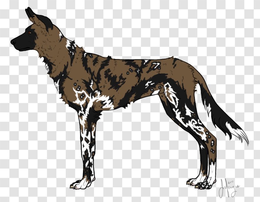 Dog Breed Great Dane African Wild Dhole Transparent PNG