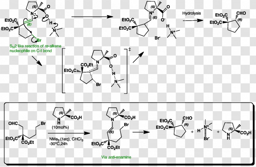 Enamine Nucleophilic Substitution Nucleophile Intramolecular Reaction SN2 - Black And White - Addition Transparent PNG