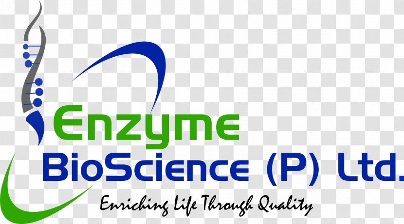ENZYME BIOSCIENCE PVT LTD Pharmaceutical Enzymes 560 242 Industrial - Industry Transparent PNG