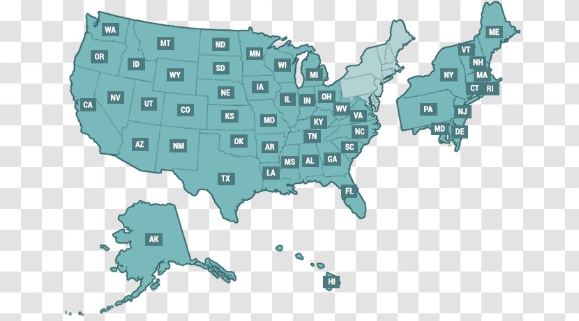 California Federal Government Of The United States Social Security Administration U.S. State Supplemental Income - Organism Transparent PNG