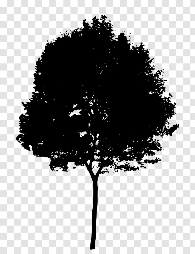 Silhouette Tree Clip Art - Leaf - Natural Environment Transparent PNG