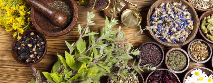 Dietary Supplement Herbalism Medicine Pharmaceutical Drug - Food - Herbs Transparent PNG