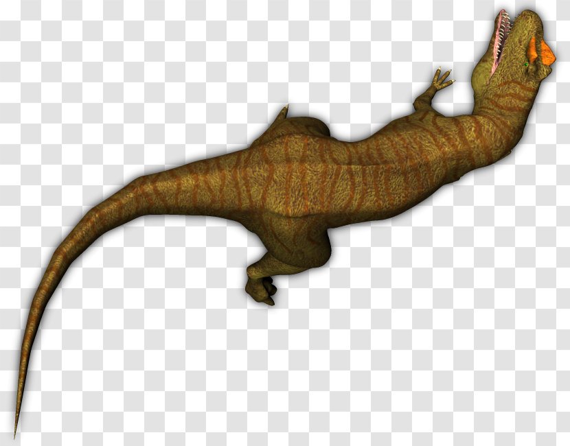 Tyrannosaurus Allosaurus Dinosaur Gecko Animal Transparent PNG