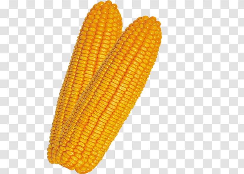 Corn On The Cob Maize Transparent PNG