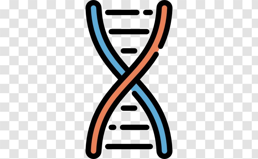 DNA Genetics Clip Art - Nucleic Acid Structure Transparent PNG