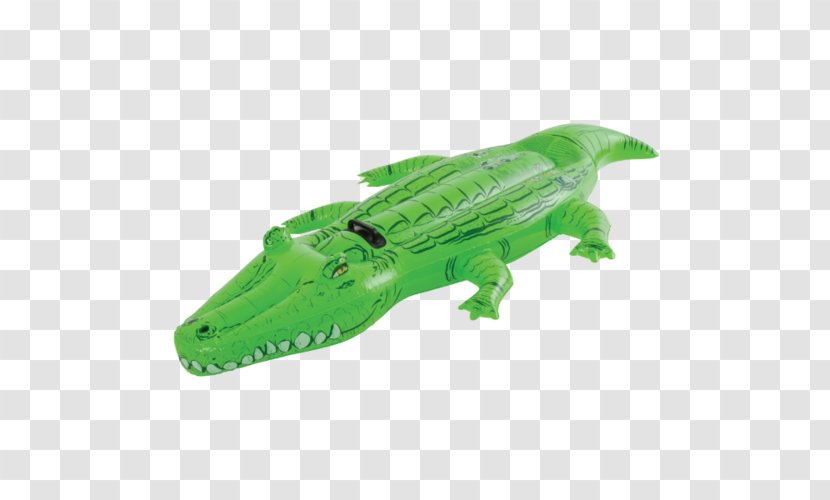Crocodile Alligator Swimming Pool Animal Transparent PNG