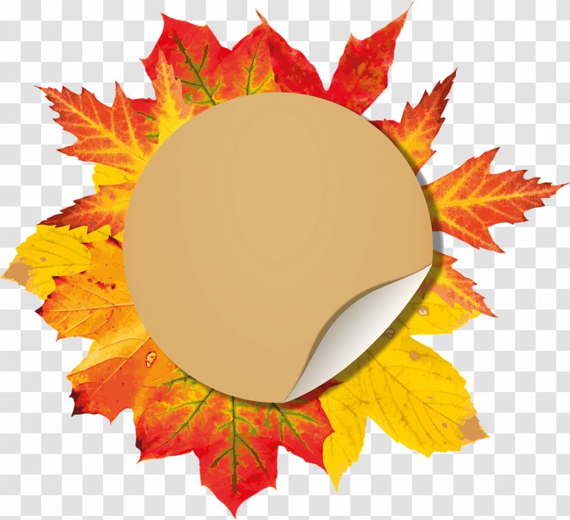 Maple Leaf Autumn Color - Button Transparent PNG