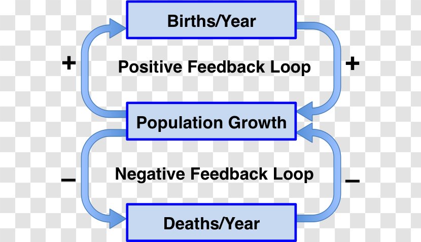 Negative Feedback Positive Homeostasis Biology - Control Theory - Loop Transparent PNG