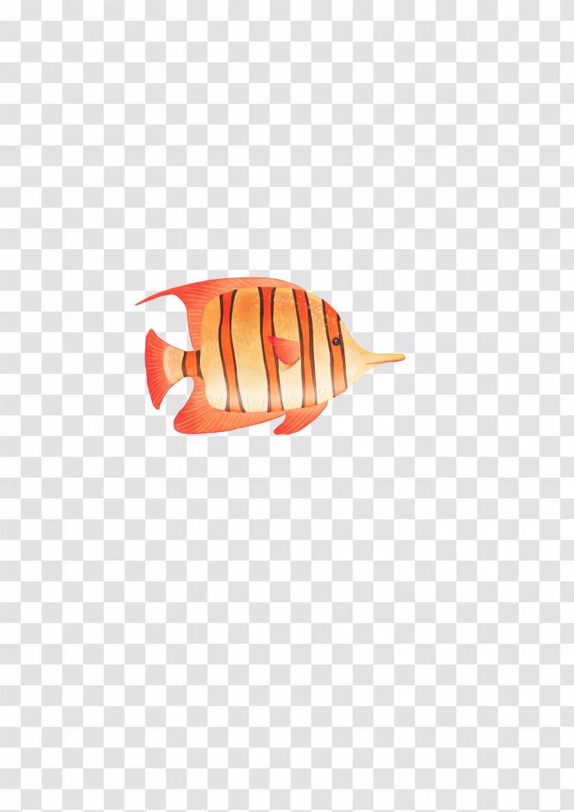 Fish - Orange - Striped Transparent PNG