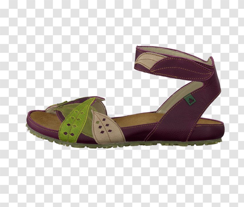 Slipper Sandal Purple Shoe Beige Transparent PNG