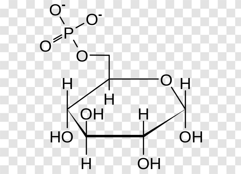 Glucose 6-phosphate Glucose-6-phosphate Dehydrogenase 6-phosphatase Fructose - 6phosphate - Sugar Transparent PNG