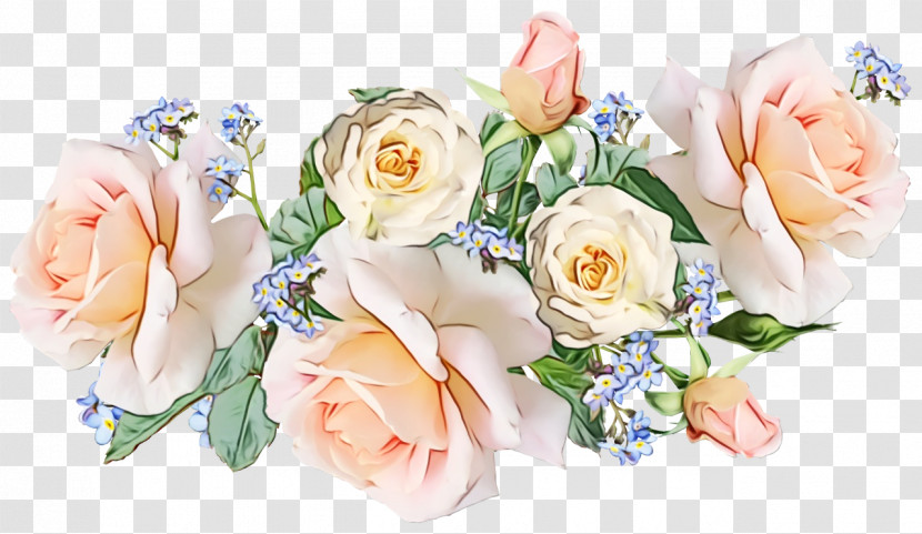 Floral Design Transparent PNG