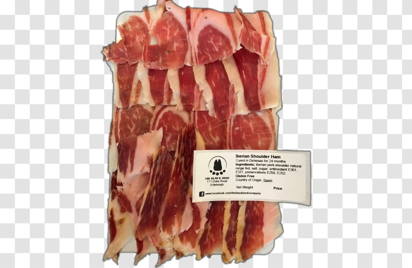 Capocollo Ham Prosciutto Bresaola Soppressata - Watercolor Transparent PNG