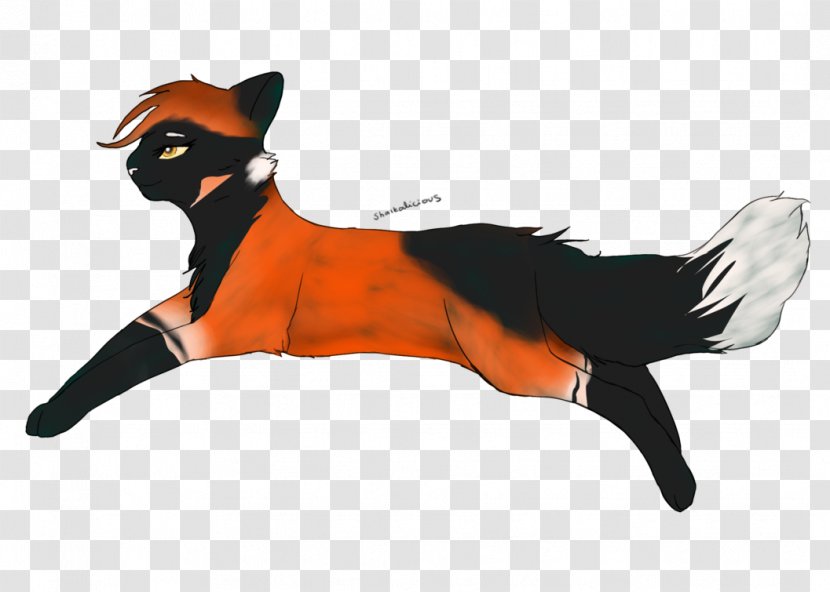 Whiskers Dog Red Fox Cat News - Like Mammal - Leap Of Faith Transparent PNG
