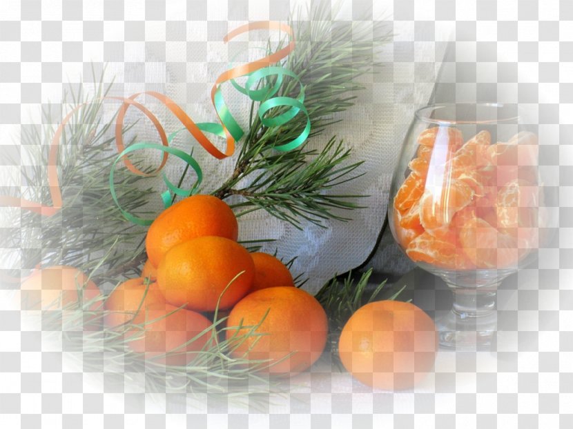 The Art Of Yoshitaka Amano Fruit Still Life Mandarin Orange Painting - Wish - Vitamine Transparent PNG
