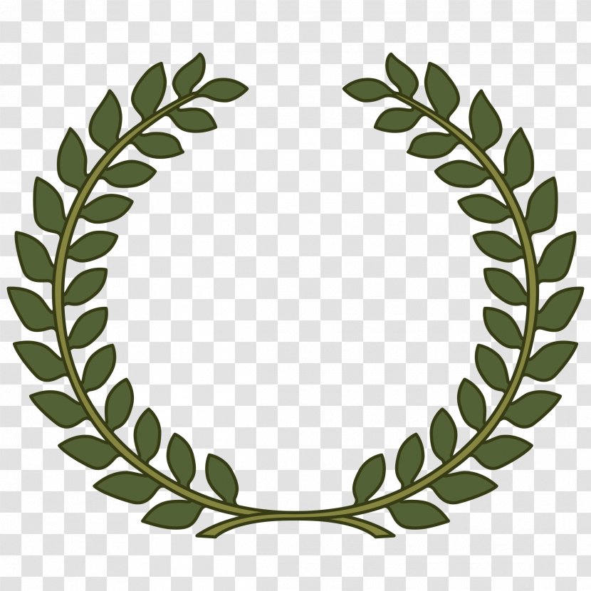 Bay Laurel Wreath Leaf Mountain-laurel Clip Art - Green Transparent PNG