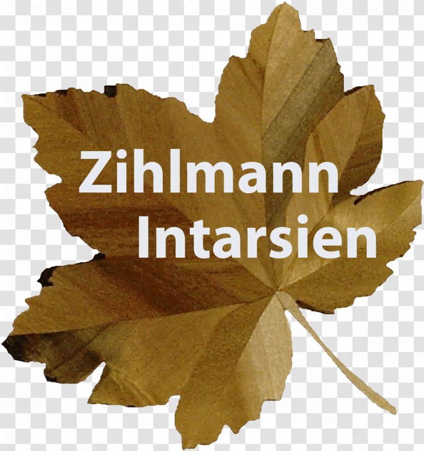 Intarsia Logo Art Font - Leaf - Switzerland Transparent PNG