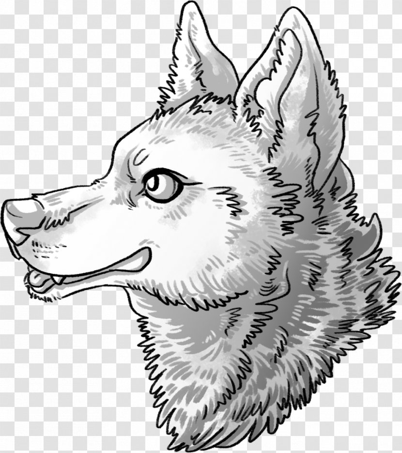 Siberian Husky Dog Breed Coyote Sketch Coydog - Art - Wolf Mix Transparent PNG