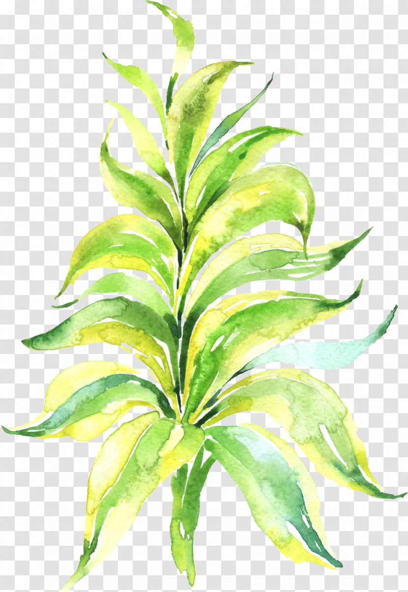 Watercolor Painting Leaf - Flower Pattern Label Transparent PNG
