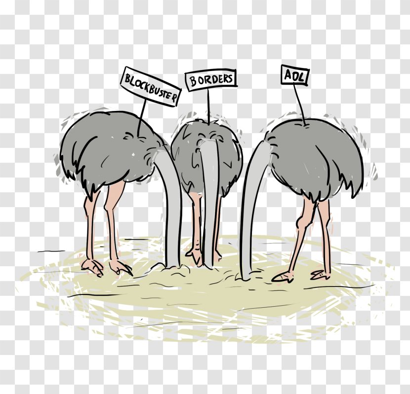 Common Ostrich Horse Bird Beak Livestock - Cartoon Transparent PNG