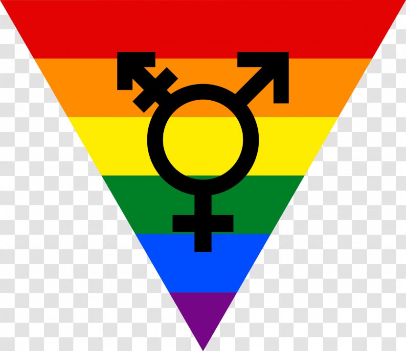 Transgender Flags Rainbow Flag Lack Of Gender Identities - Youth Transparent PNG
