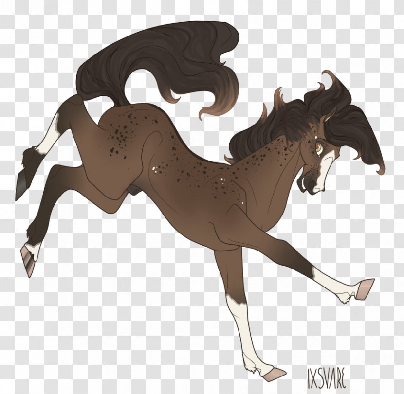 Mustang Foal Stallion Colt Rein - Livestock Transparent PNG