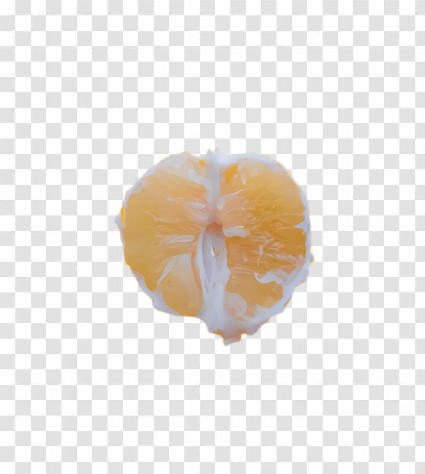 Orange - Citrus - Vegetarian Food Plant Transparent PNG