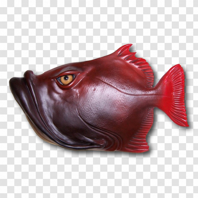Billy Jack Fish .com Lip Human Mouth - Red - Body Transparent PNG