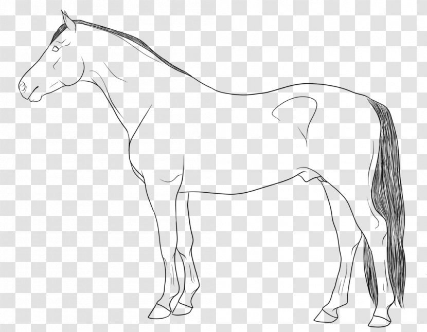 Mule Line Art Horse Stallion - Mare Transparent PNG