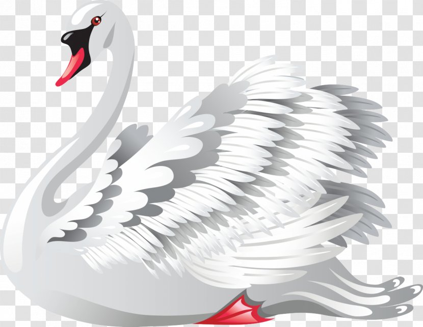 Black Swan Royalty-free Clip Art Transparent PNG