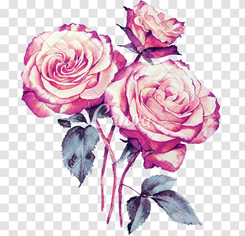 Bouquet Of Flowers Drawing - Hybrid Tea Rose - Camellia China Transparent PNG