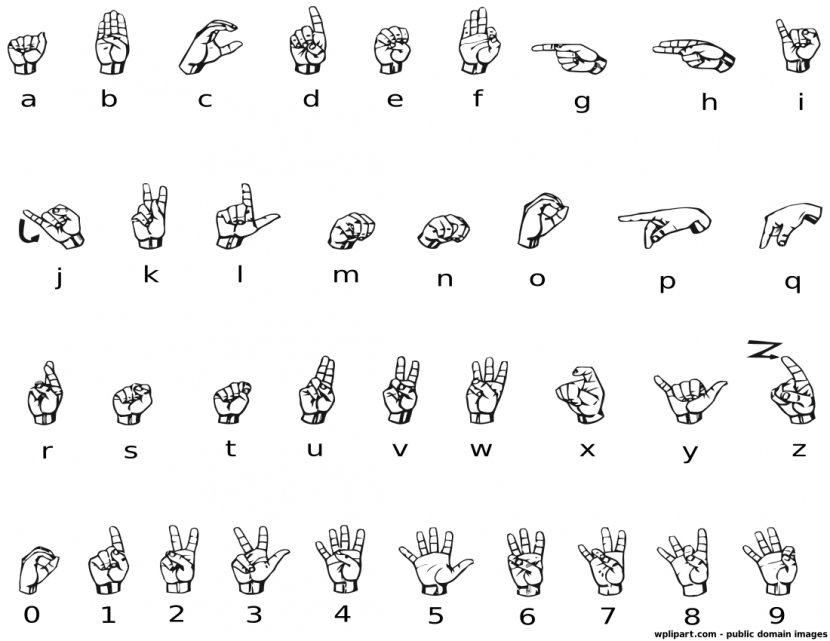 American Sign Language Alphabet Auslan - Asl Cliparts Transparent PNG