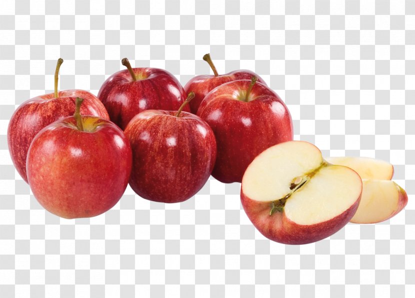 Organic Food McIntosh Red Apple Fruit - Diet Transparent PNG