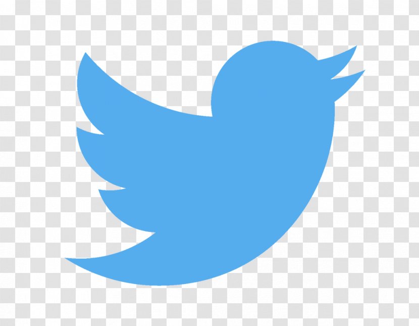 United States Social Media News Business Advertising - Beak - Twitter Transparent PNG