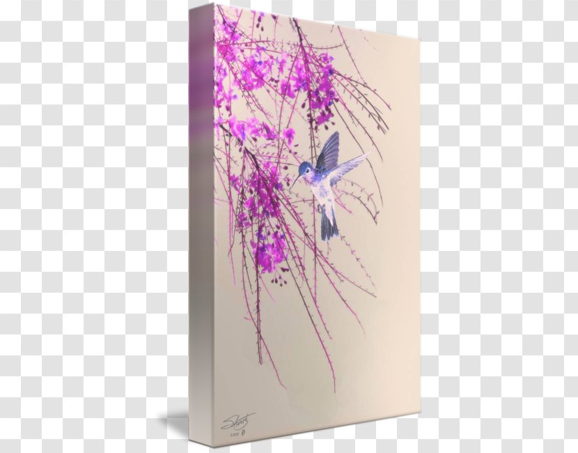 Petal - Purple - Hummingbird 0 2 Transparent PNG